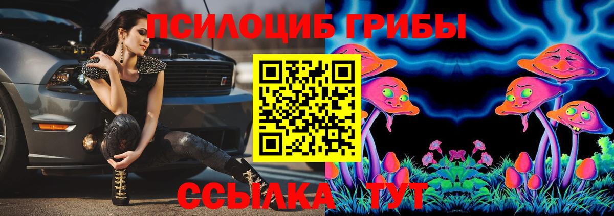 где купить   Псилоцибиновые грибы прущие грибы  Вход с VPN  Галлюциногенные грибы Psilocybine cubensis  Чебоксары 